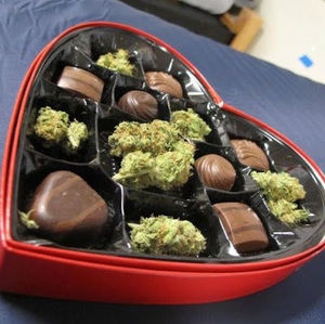 Meet your Posher, Marisol